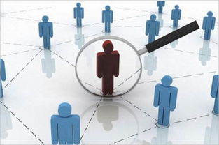 企業(yè)管理中的組織運(yùn)作機(jī)制