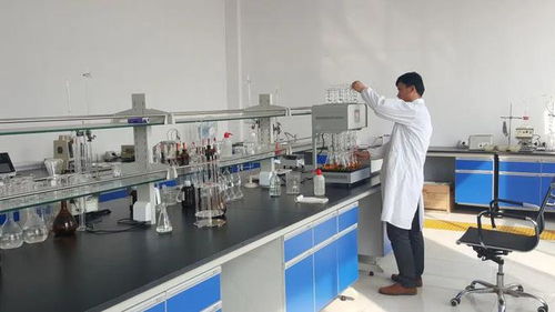 東營(yíng)港經(jīng)濟(jì)開發(fā)區(qū) 以企業(yè)技術(shù)改造為抓手，驅(qū)動(dòng)產(chǎn)業(yè)轉(zhuǎn)型升級(jí)與技術(shù)開發(fā)新突破